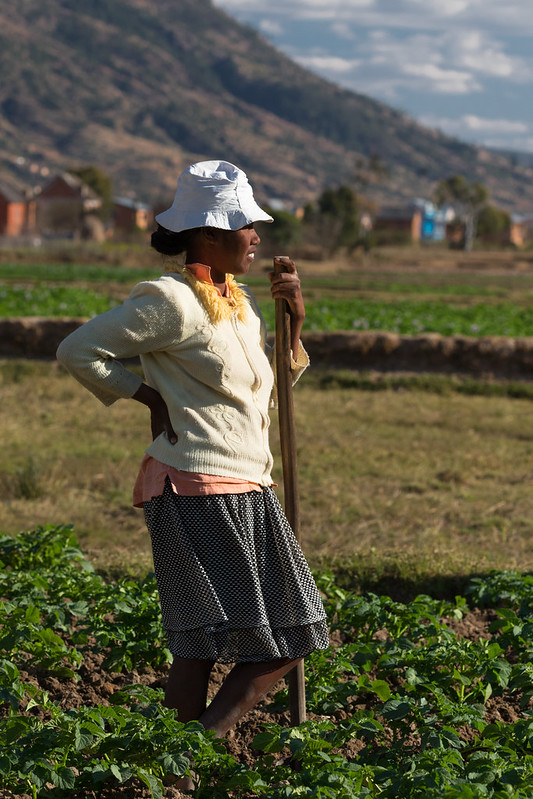 photo of woman standing in a field